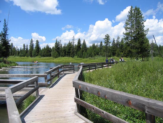 2006 family reunion in Yellowstone National Park